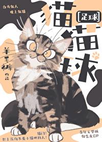 足球猫猫球by羊毛免费