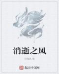 作者风消逝怎么了