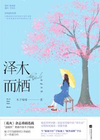 泽木而栖by卡比丘讲的什么