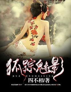狐踪谍影剧情介绍|剧情简介