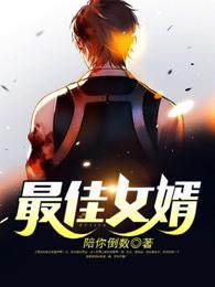 最佳赘婿全传