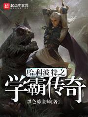 哈利波特之学霸传奇飞卢