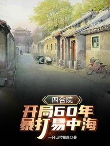 四合院开局怒怼